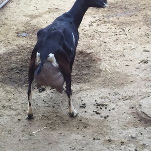 Meet your Posher, Jose