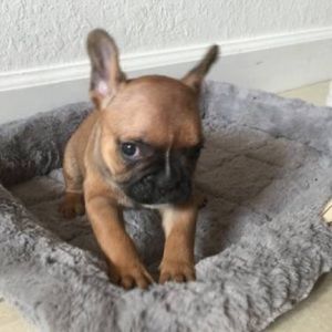 Meet your Posher, Ali