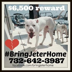 Meet your Posher, Sheri