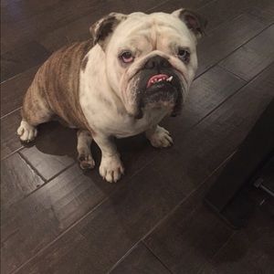 Meet your Posher, Leslie