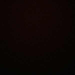 Meet your Posher, Yasmine