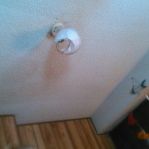 Meet your Posher, Tommy