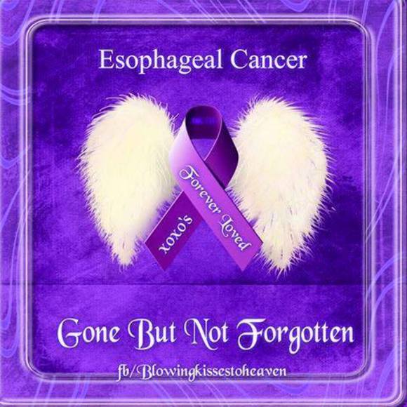 Meet your Posher, Stacy - Picture 1 of 1