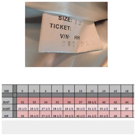 🎉**BLUSH PROM SHOWSTOPPING GOWN!** - Picture 3 of 4