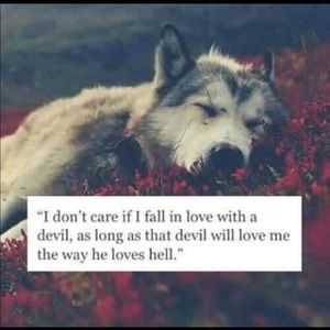 Meet your Posher, Jayci