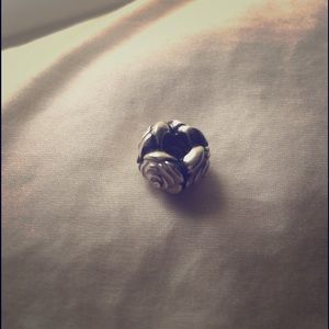 PANDORA Rose Garden Pink Enamel Charm