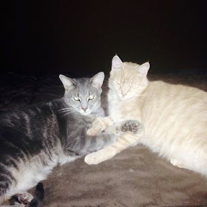 Meet your Posher, Tara