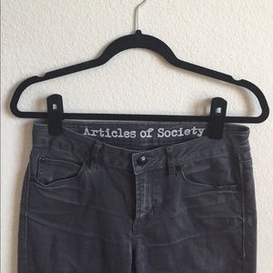 Articles of Society Skinny Jeans