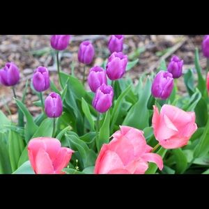 Meet your Posher, Brenda