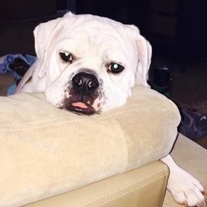 Meet your Posher, Jamie