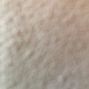 Meet your Posher, Bridget