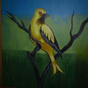 Meet your Posher, Geidy