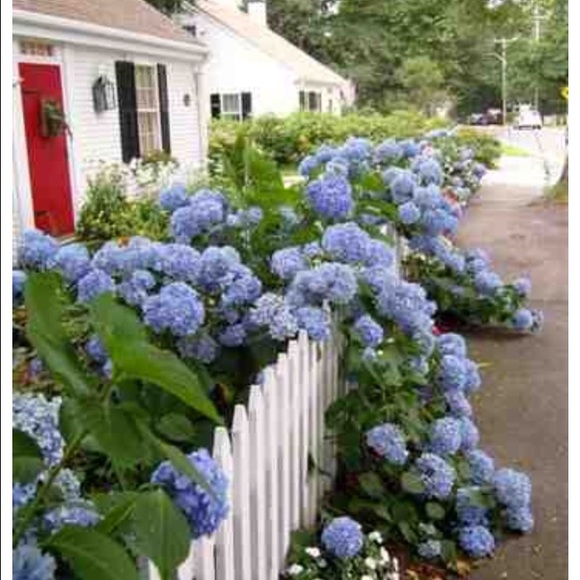 My closet will be closed in December and January. - Picture 2 of 4