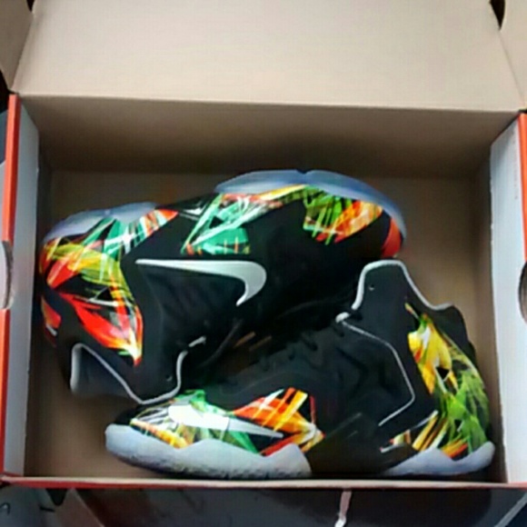 ✨SOLD ON ANOTHER SITE✨ Nike Lebron Everglade