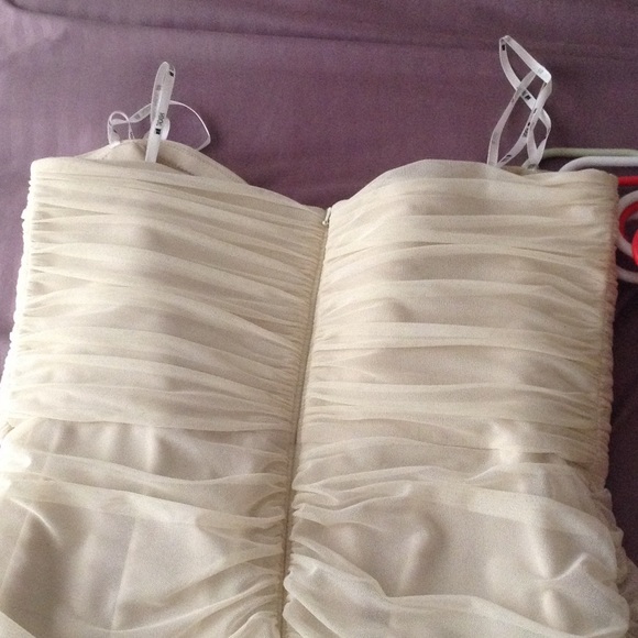 Tadashi nude chiffon dress - Picture 4 of 4