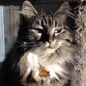 Meet your Posher, Mariah