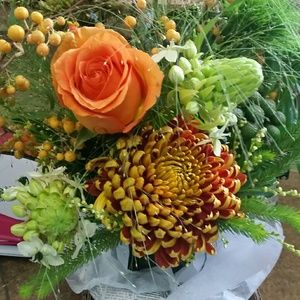 Meet your Posher, Lacey