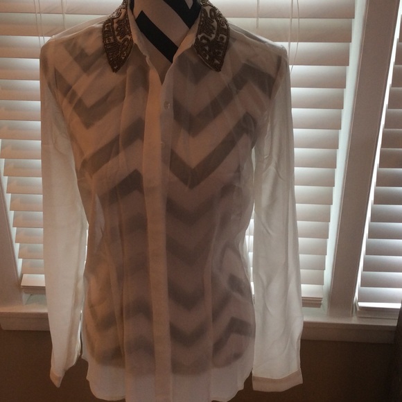 Sheer Blouse