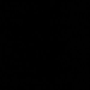 Meet your Posher, Manuel