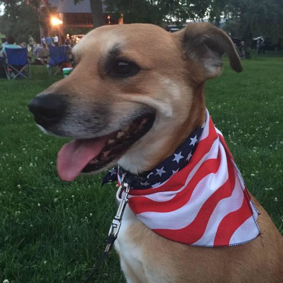 Meet your Posher, Jeannine - Picture 1 of 1