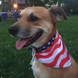 Meet your Posher, Jeannine