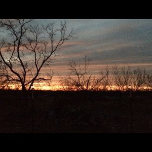 Meet your Posher, Marcella