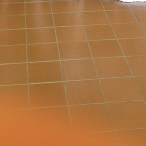 Meet your Posher, Logan