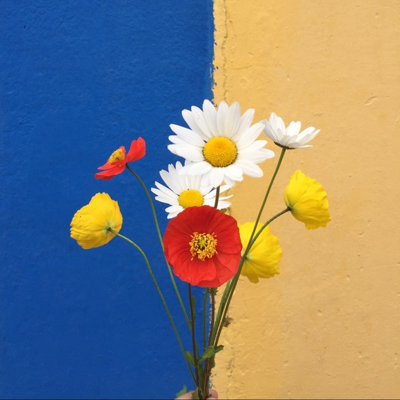 Meet your Posher, Grace