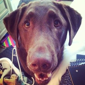 Meet your Posher, Jackson