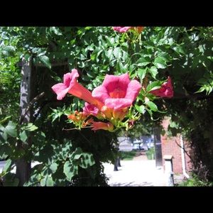 Meet your Posher, Patrizia