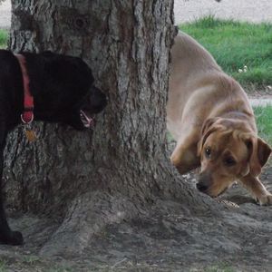 Meet your Posher, Douglas