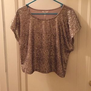Rose Gold Sequined Short Sleeve Top