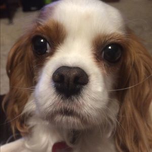 Meet your Posher, Jaelynne