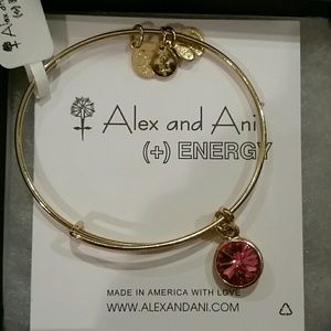 Alex and Ani October Bracelet