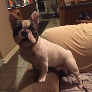 Meet your Posher, Jacob