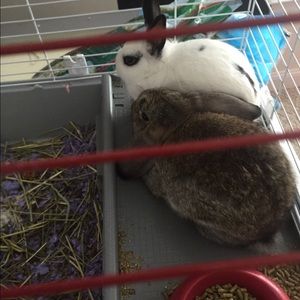 Meet your Posher, Will