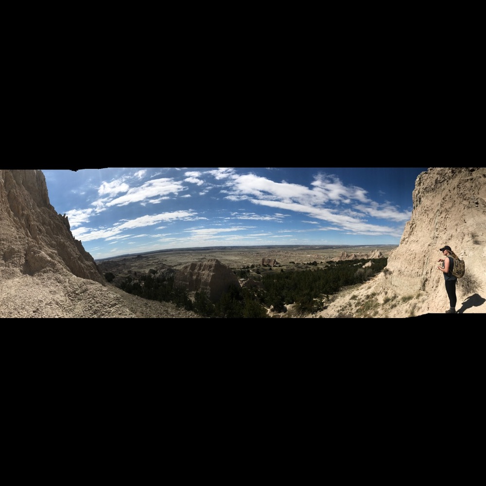 Meet your Posher, Danica