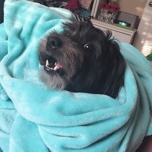 Meet your Posher, Michaela