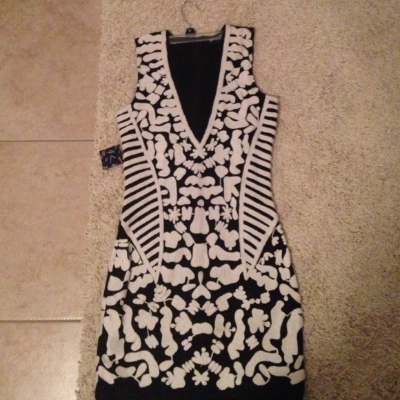 A BRAND NEW Nasty Gal Embroidered Bodycon