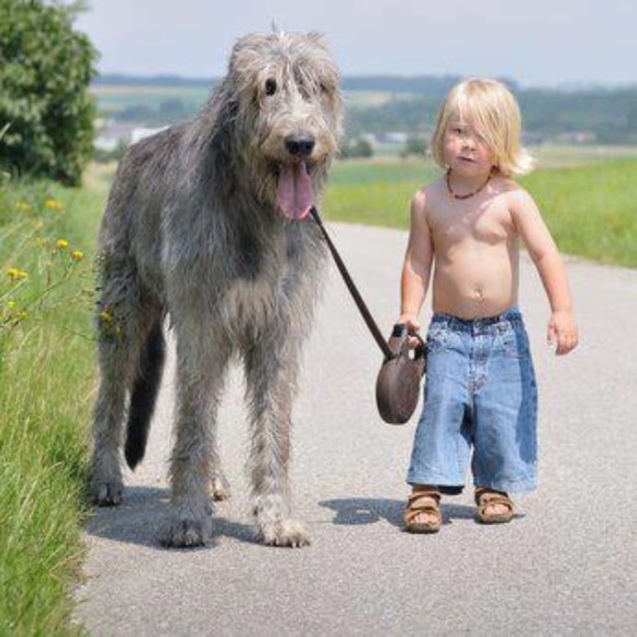 Meet your Posher, Kim - Picture 1 of 1