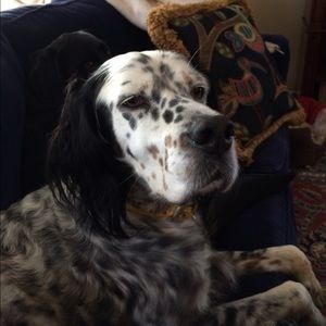 Meet your Posher, Wendy