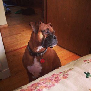 Meet your Posher, Jamie