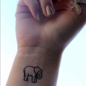 Meet your Posher, Taylor