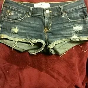 Hollister Shorts