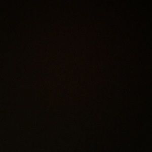 Meet your Posher, Nina