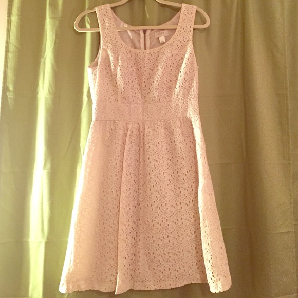 LOFT cream lace dress