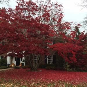 Meet your Posher, Renata