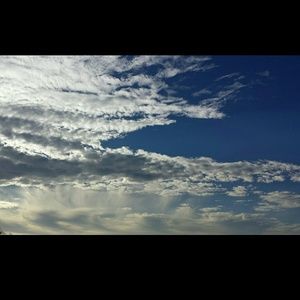 Meet your Posher, Desiree