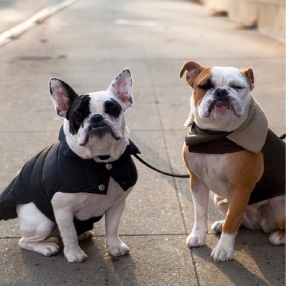 Meet your Posher, Adam - Picture 1 of 1