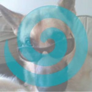 Meet your Posher, Eileen